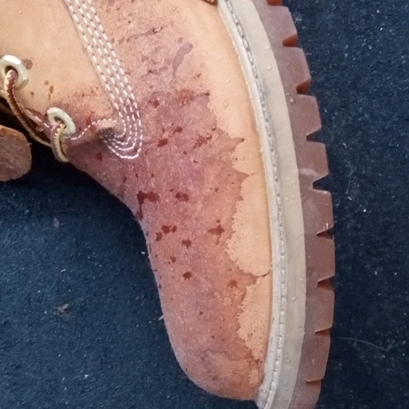 Timberland - Picture 6 of 8